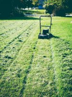 koszenie trawy koszenie trawy kosiarką rotacyjną