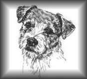 Tri-State Jack Russell Terrier Club - Washington - Oregon - Idaho 