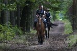 Wycieczka konna, Bory Dolnośląskie konie